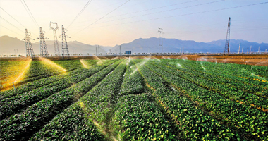 陜西百川生物堅持優(yōu)質的產品品質
